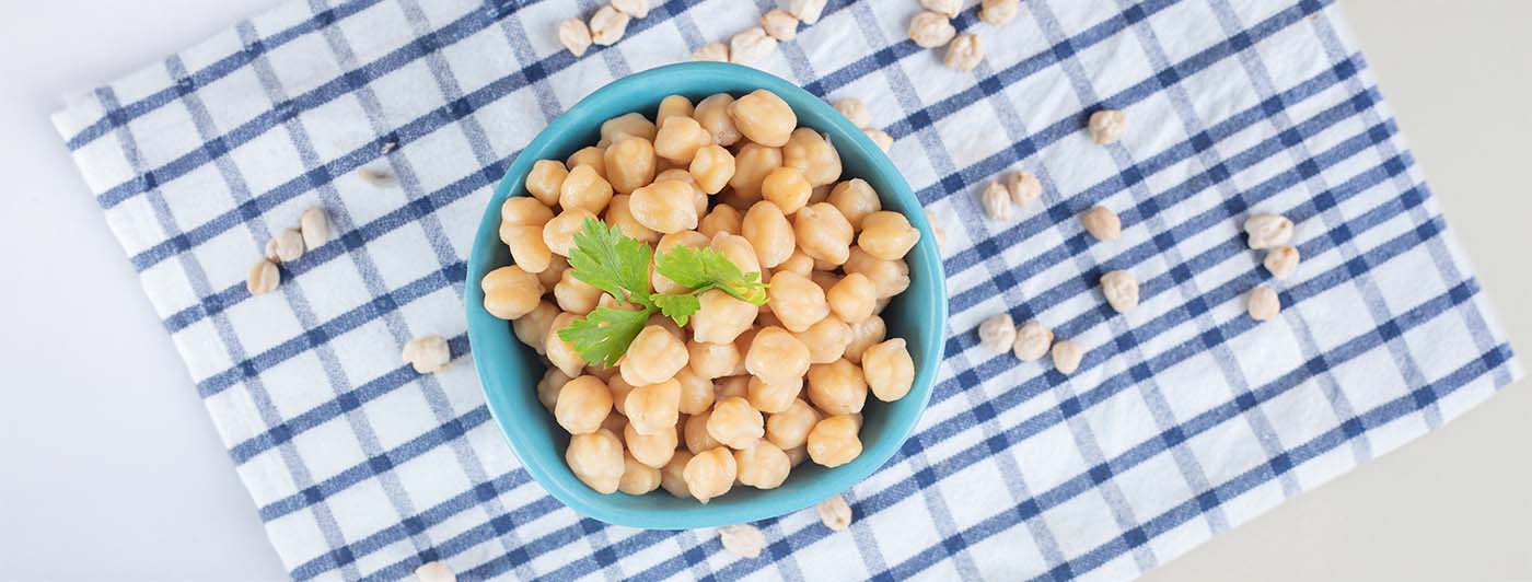 protein in 100 gm chana