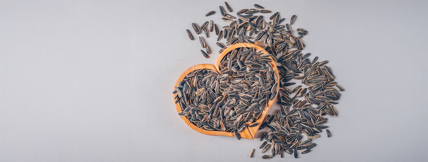 sunflower seeds benefits for hair