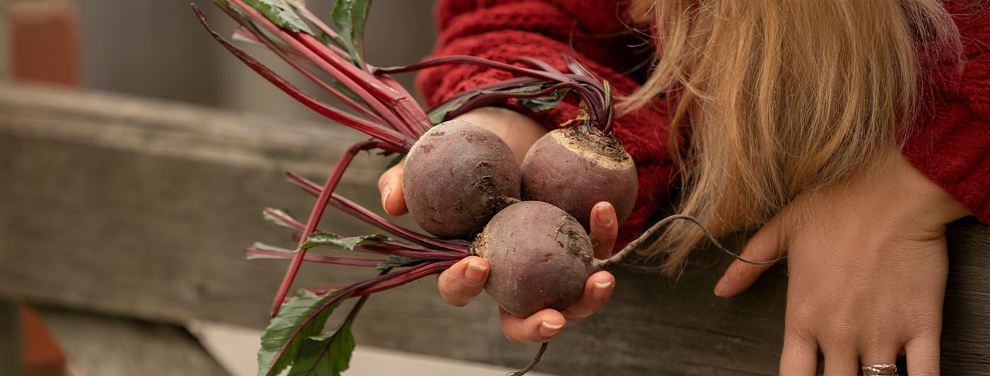 beetroot glycemic index