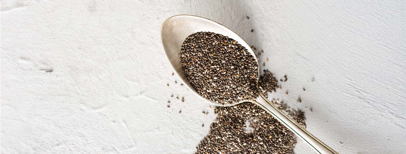1 teaspoon chia seeds protein