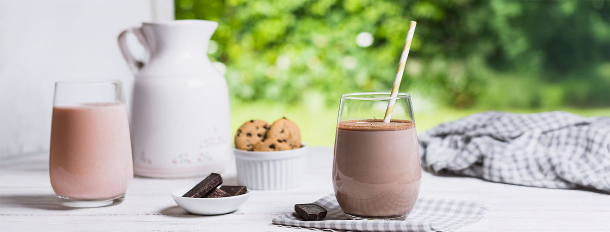 Chocolate Smoothie Recipe with 24g Protein