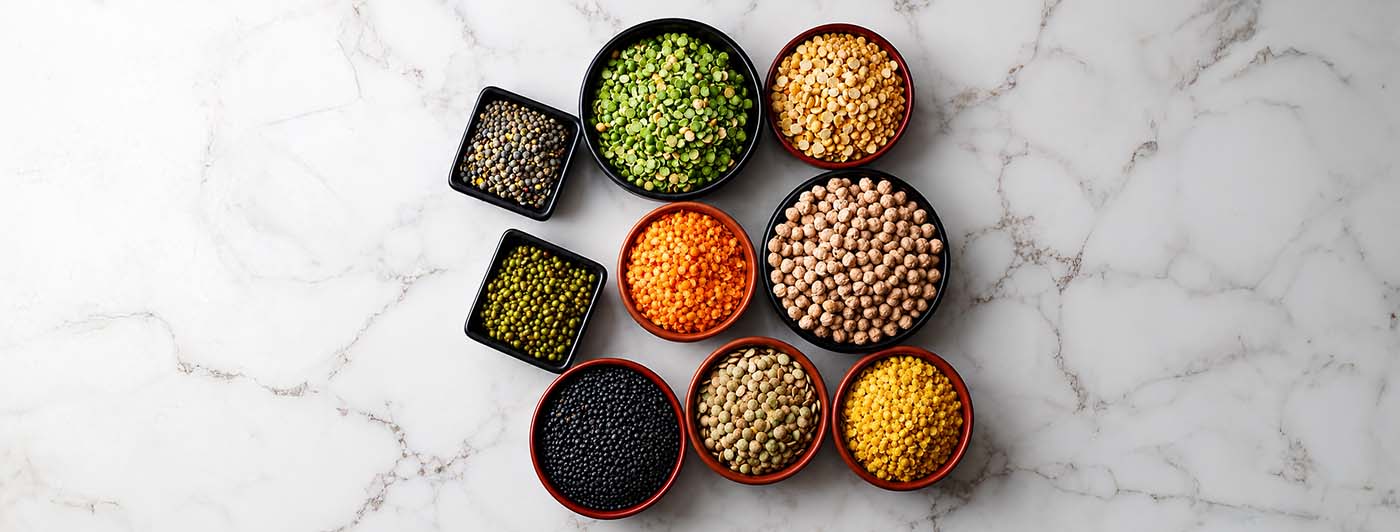 dal protein per 100g