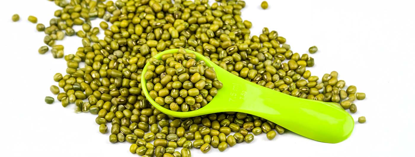 green moong dal protein per 100g