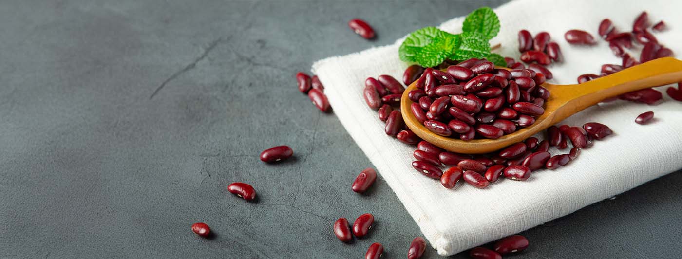 protein in rajma