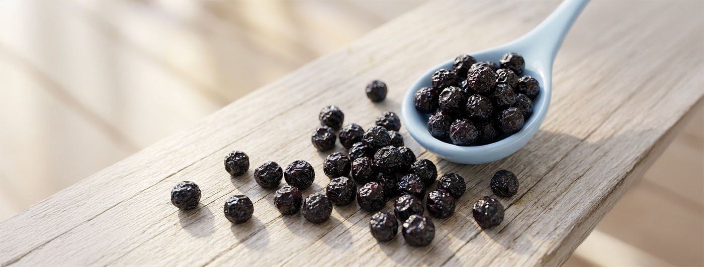 dried blueberries benefits