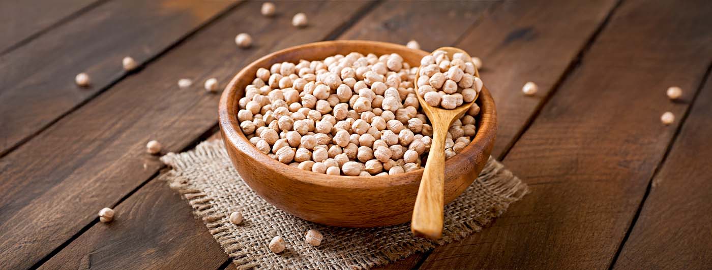 kabuli chana protein per 100g