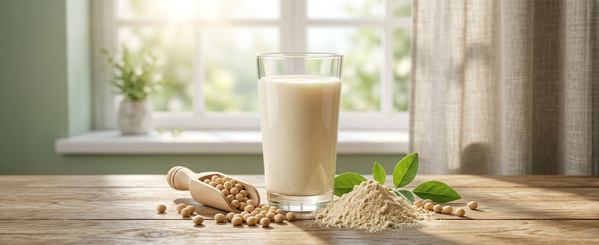 Lactose Free Protein Powder