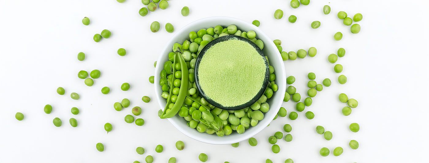 pea protein