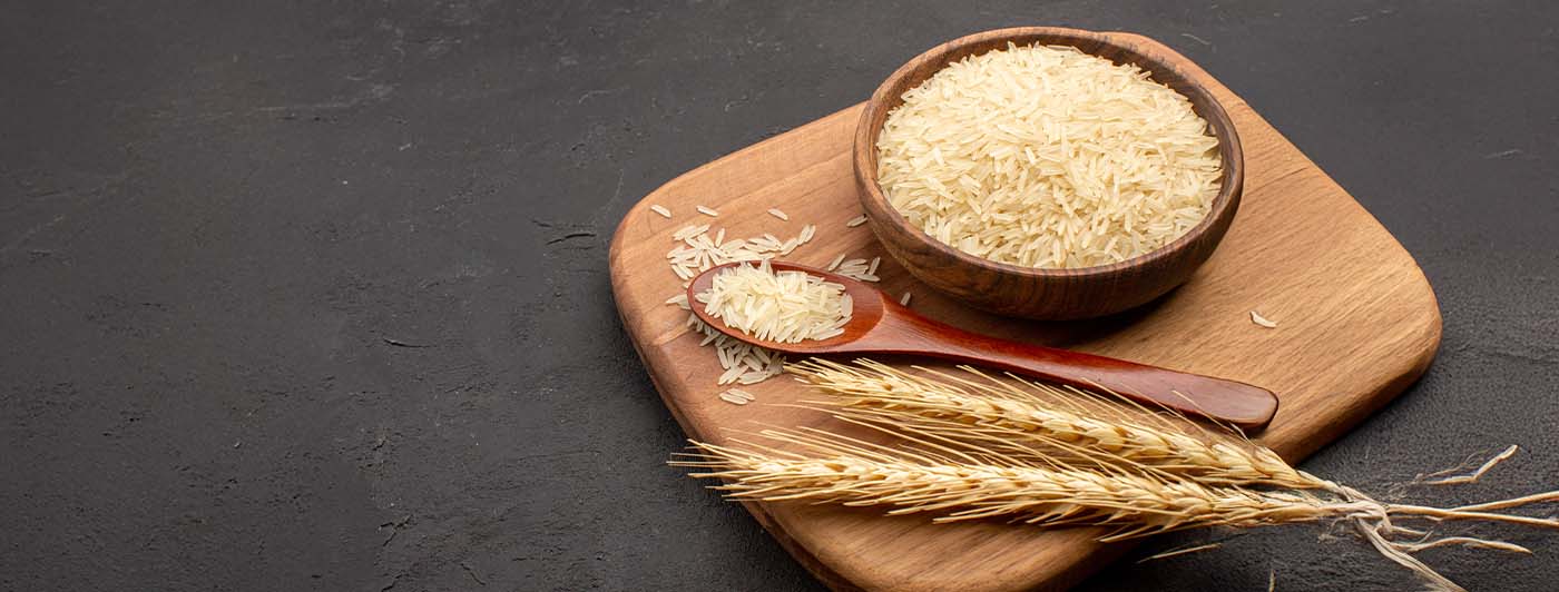 rice protein per 100g