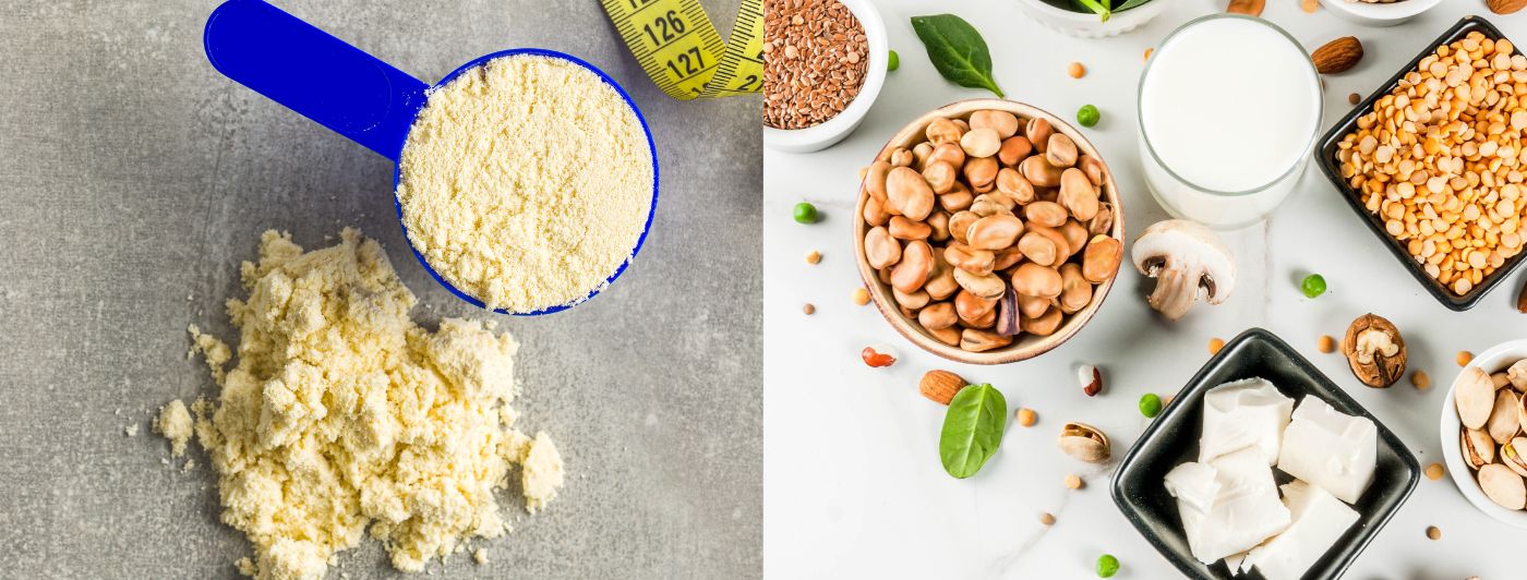 protein digestibility