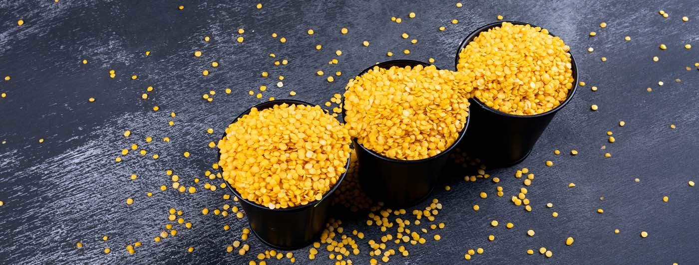 yellow moong dal protein per 100g