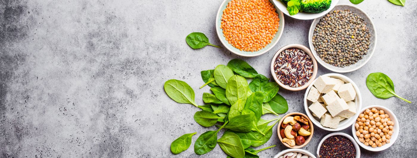 Plant protein benefits