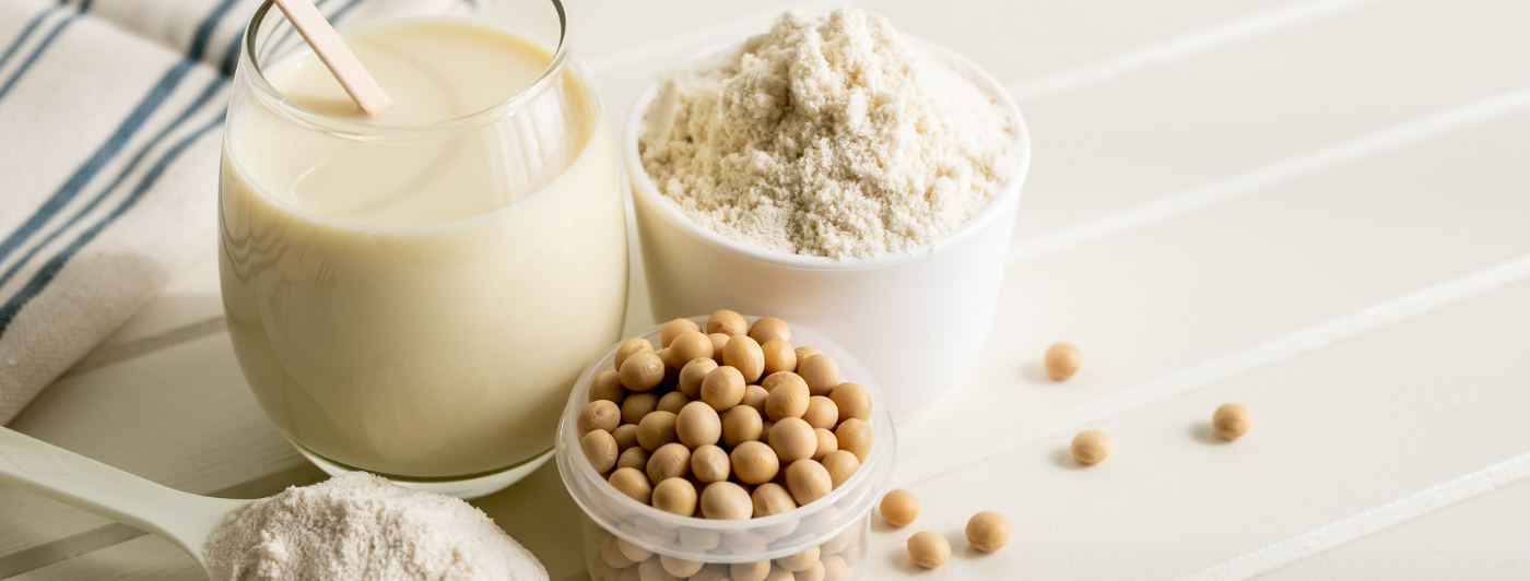 dairy free protein powder