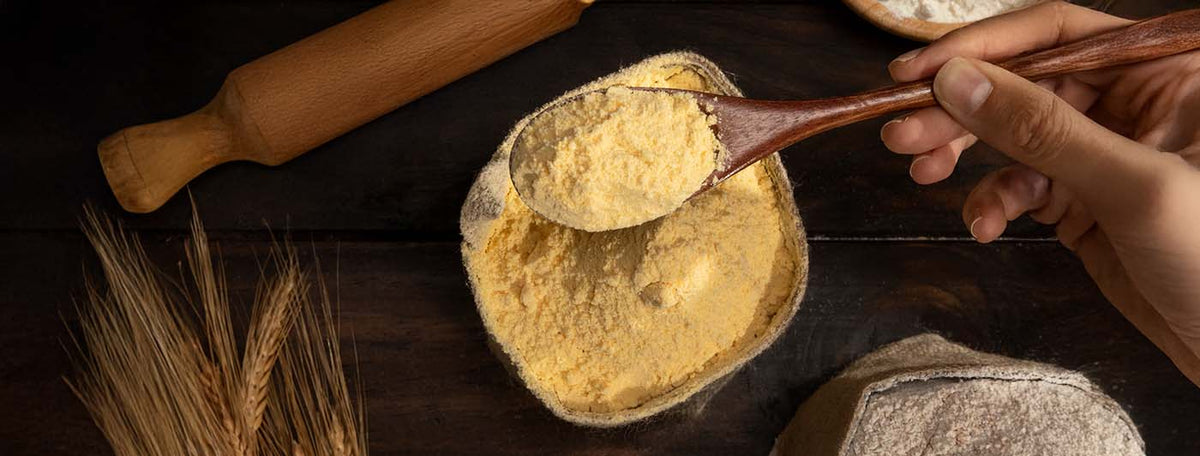 100gm besan protein