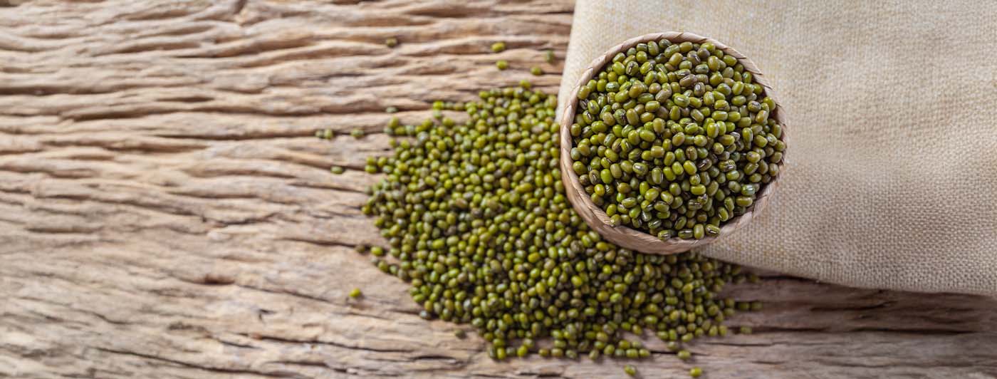mung beans benefits​
