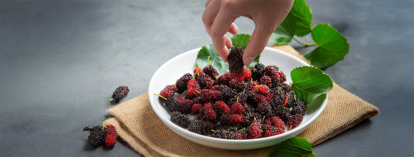 mulberry benefits​