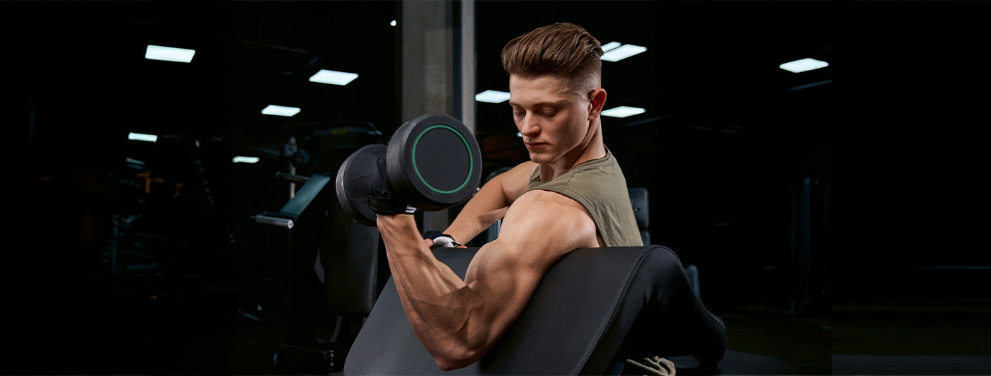 6 Day Gym Workout Schedule 