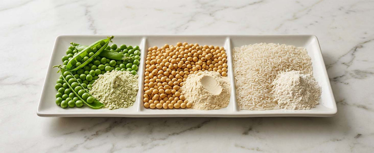 pea protein vs soy protein