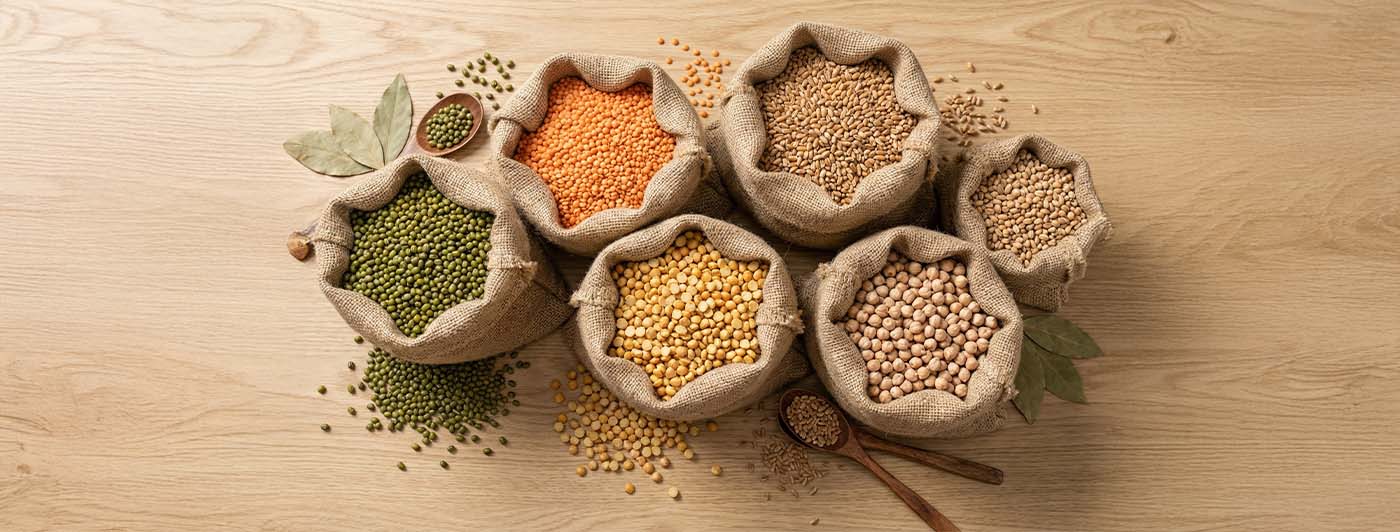 which dal has highest protein