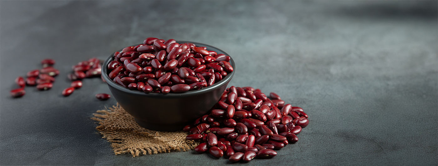 protein in rajma per 100g