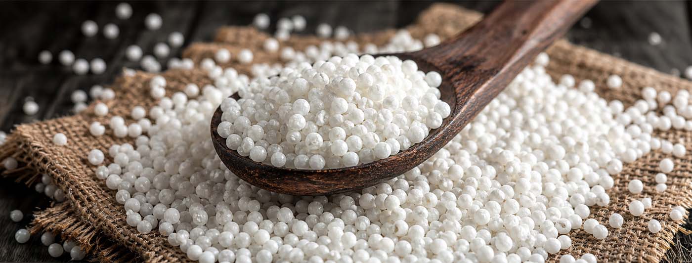 Sabudana Protein