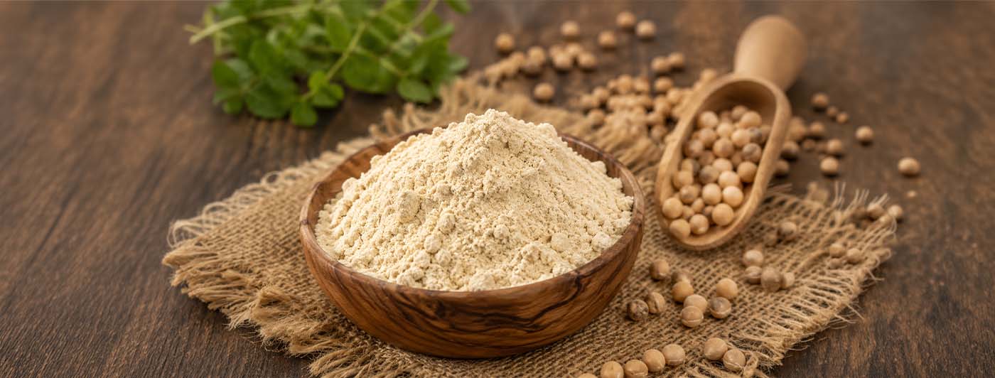 sattu protein content