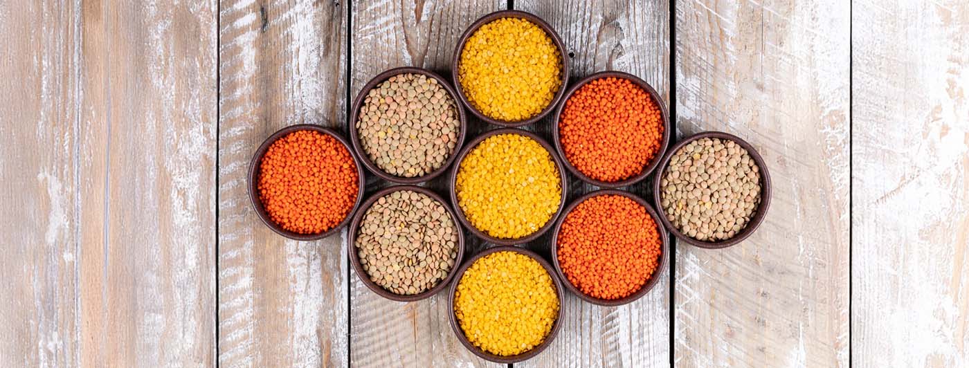 which dal has highest protein