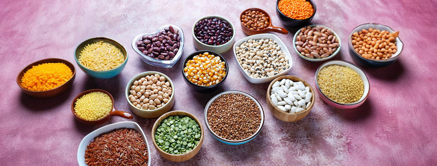 vegetarian protein sources india​