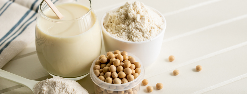 A closer look at Plant Based Protein Powder For Muscle Gain